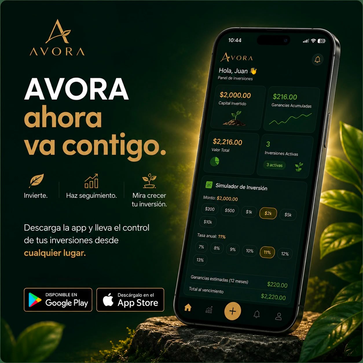 AVORA — Descarga la app